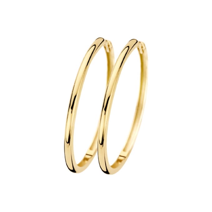 Blush Oorbellen 7312YGO Ooringen 14k Geelgoud
