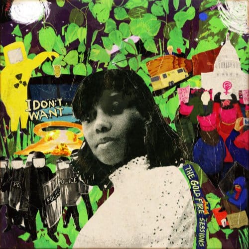 I Don't Want: The Goldfire Sessions - Santigold