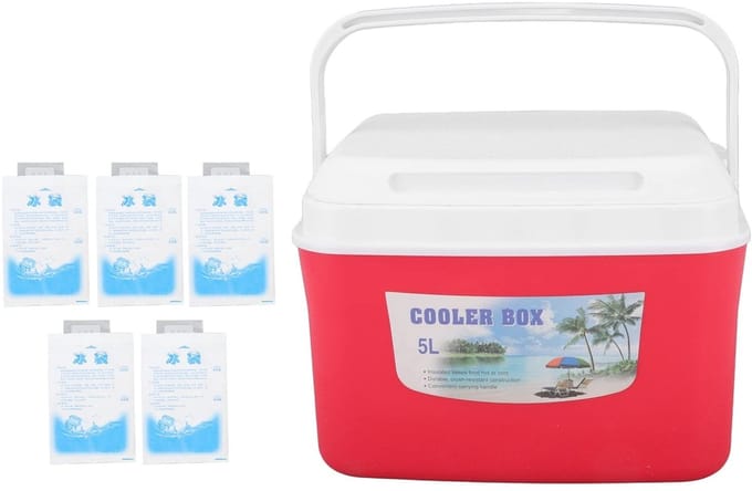 Dailygoods- Koelbox 5L - Draagbare Koelbox - Geïsoleerde Koelbox - Koelbox voor Voedsel - Handvat - Constant Temperatuur