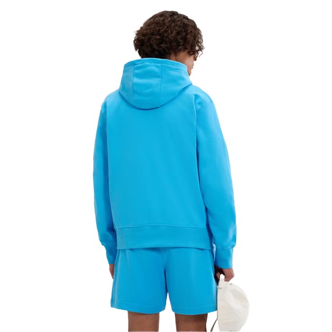Ellesse Heren Madone Hoodie (Blauw)