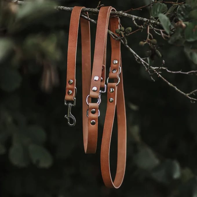 Cooper & Quint Switch Verstelbare Leren Hondenriem - Camel - 2cm - Zilver