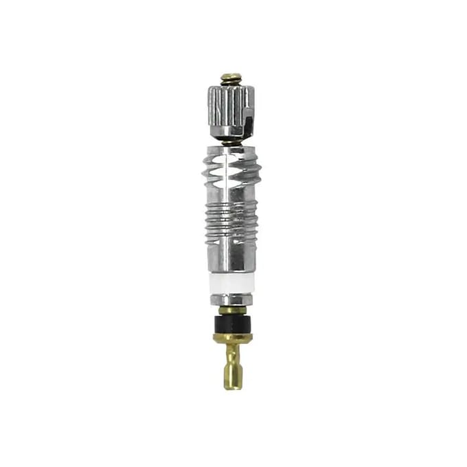 Ventielhuis voor tubeless Newton P2R (x10)