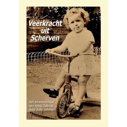 Veerkracht Uit Scherven - Judy Lohman