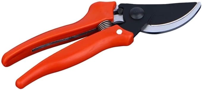Snoeischaar - Tuinschaar - Takken Snoeien - Hoog Koolstofstaal - 1 Stuk - Ergonomisch