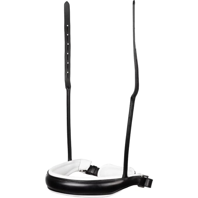Paardenbox Acavallo