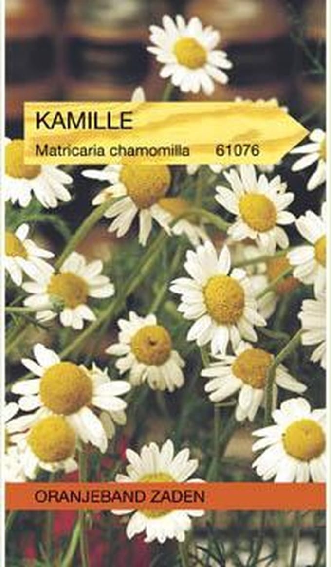 Kamille