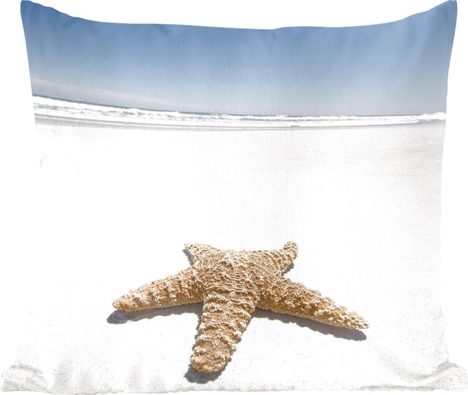 Sierkussens - Kussentjes Woonkamer - 60x60 cm - Zeester - Strand - lucht