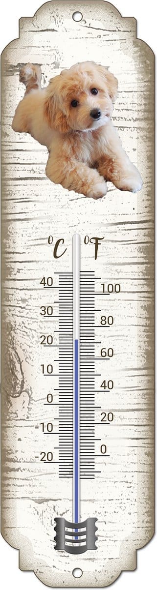 Thermometer: Maltipoo | Hondenras | Temperatuur binnen en buiten | -25 tot +45C
