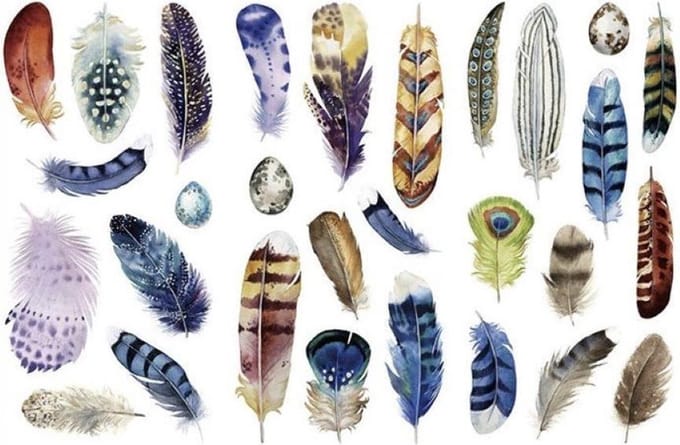 Stickerset Veertjes - 3 vellen - Sticker Feathers - Stickers Veren