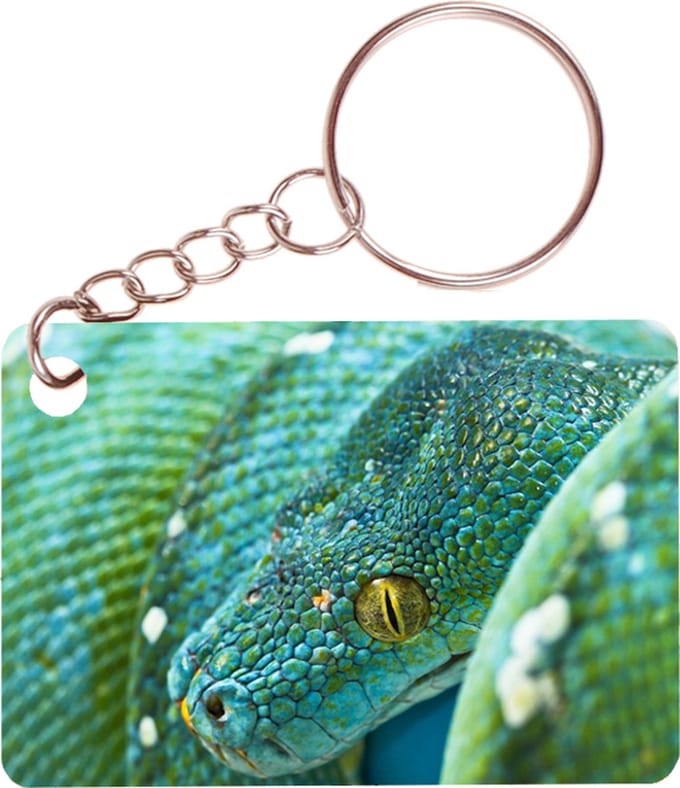 Sleutelhanger 6x4cm - Boompython Groenblauw Slang