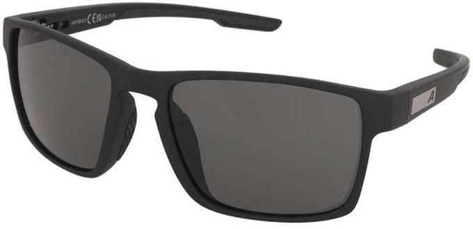 Zonnebrillen Alpina Stream Black Matt/Black