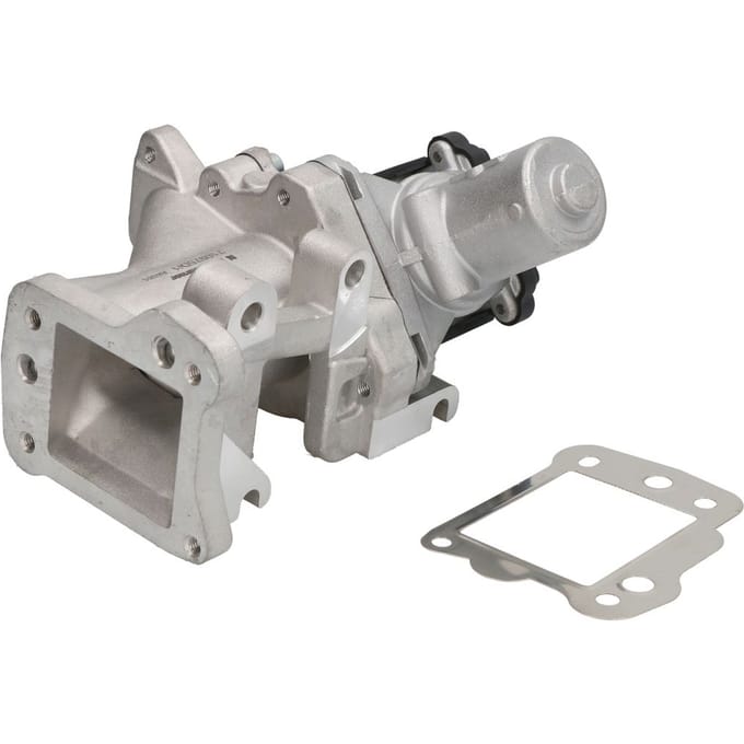 Borg Warner EGR-klep WAHLER WA710975D/1