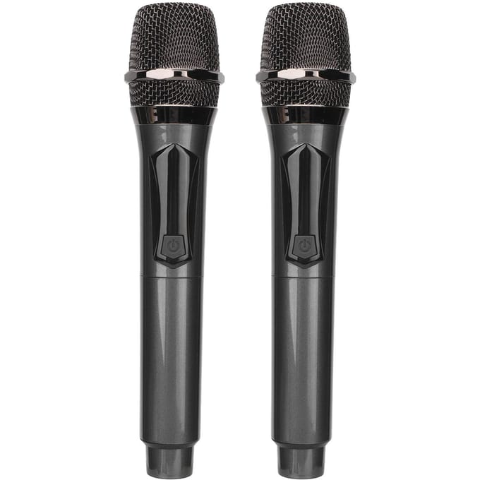 Microphone sans fil 1 pour 2 double portable à main dynamique système de micro de karaoké avec rechargeable