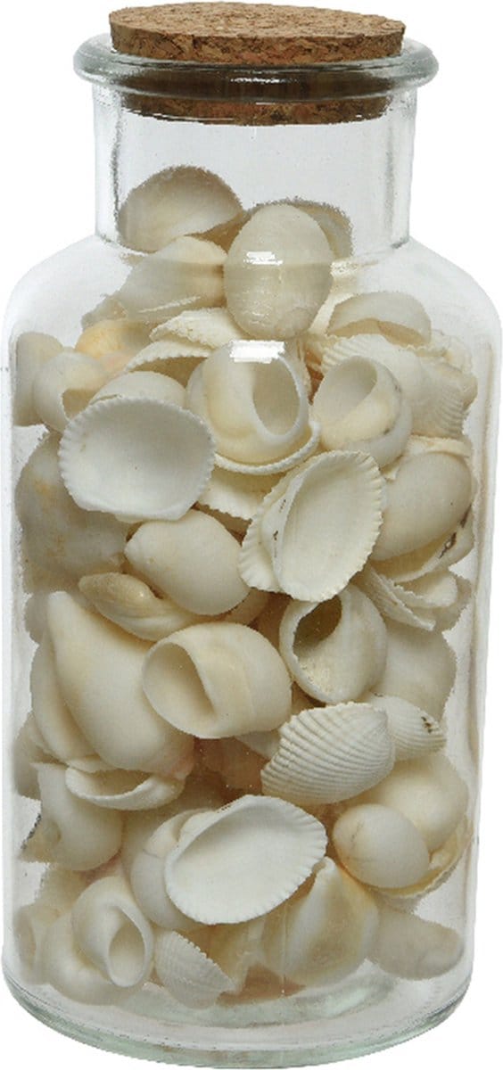 Decoris Deco schelpen in glazen pot - D8 x H16 cm - wit