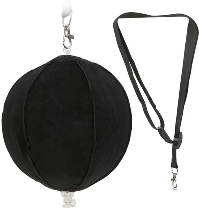 Dailygoods- Swing Trainer - Verstelbare Riemen - Opblaasbare Bal