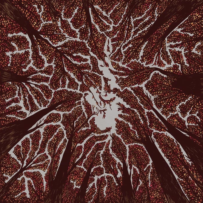 Crown Shyness - Trash Boat