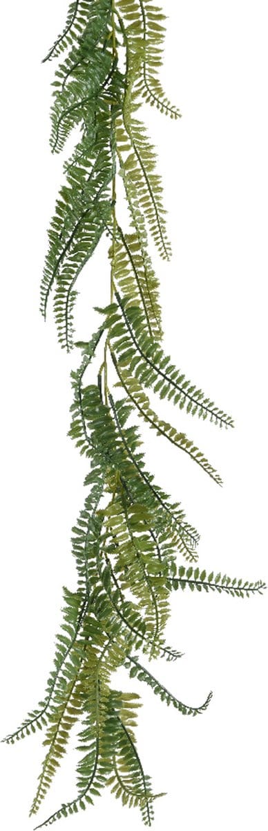 Everlands Planten slinger - varen - kunstplant - groen - 180 cm