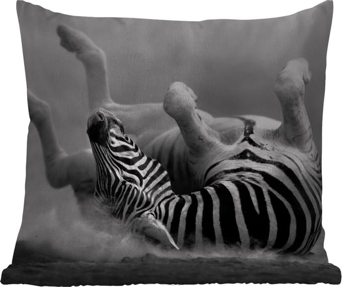 Tuinkussen - Zebra - Dieren - Zwart - Wit - 40x40 cm - Weerbestendig