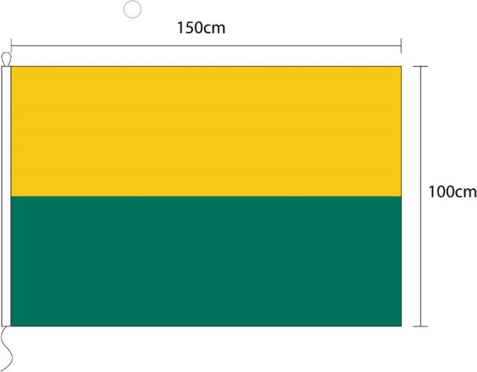 Vlag van Den haag 100 x 150cm