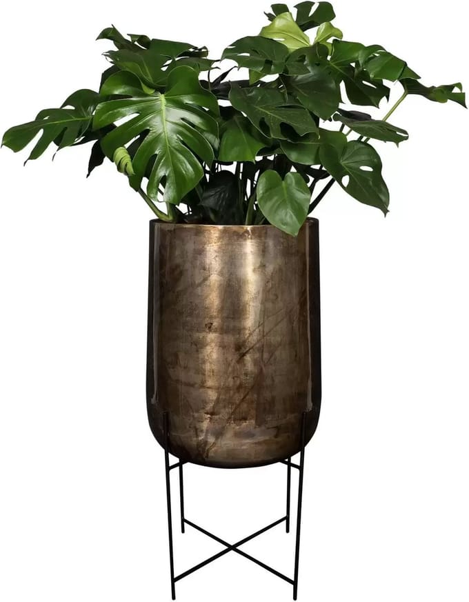 Pot voet kya d58h129cm darkroast