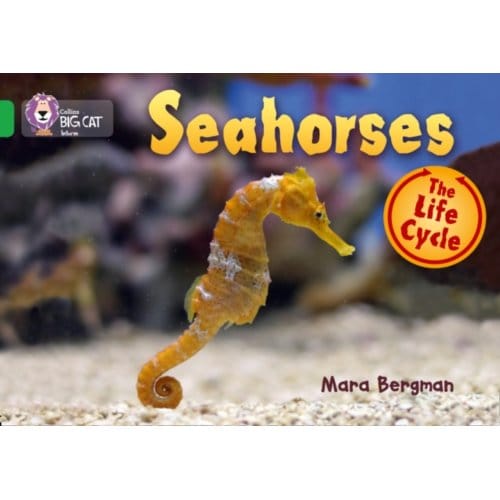 Seahorses - Collins Big Cat - Mara Bergman