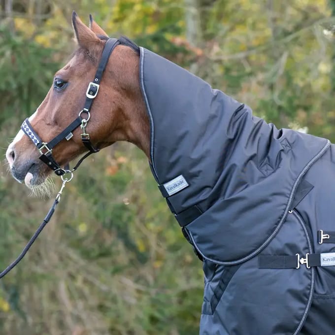Paardendeken Kavalkade Halifax 50g