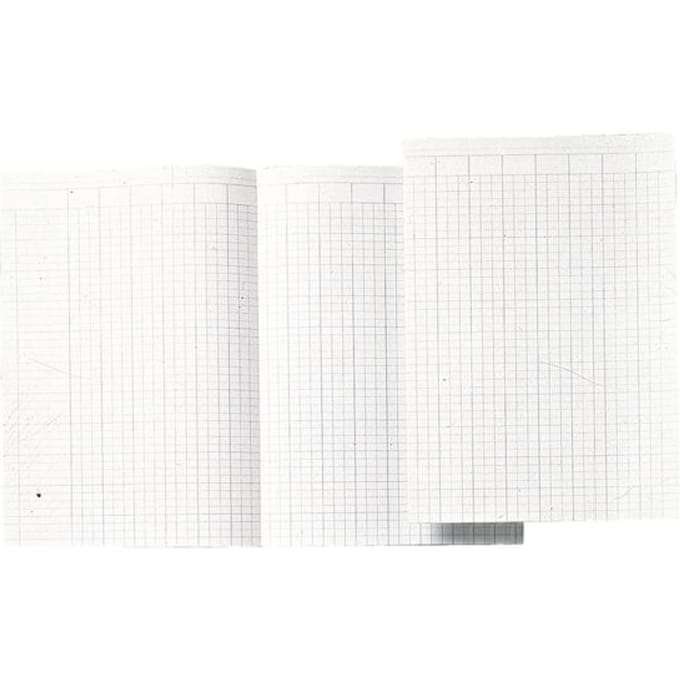 Atlanta Statistiekpapier - 1x14 kolommen - 100 bladen - 1 pak