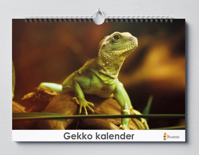 Gekko kalender - verjaardagskalender - 35x24cm - Huurdies