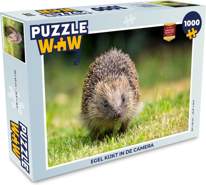 Puzzel Egel kijkt in de camera - Legpuzzel - Puzzel 1000 stukjes volwassenen