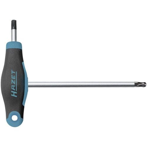 Hazet 829KKT-T25 Torx-schroevendraaier Grootte T 25 Koplengte: 100 mm 1 stuk(s)