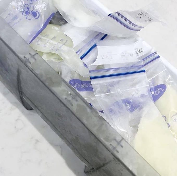 Lansinoh Bewaarzakjes - Voor borstvoeding - 2 x 50 stuks