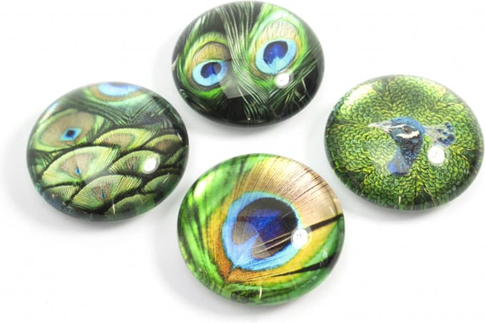 Magnet Eye - Peacock - set of 4 assorted