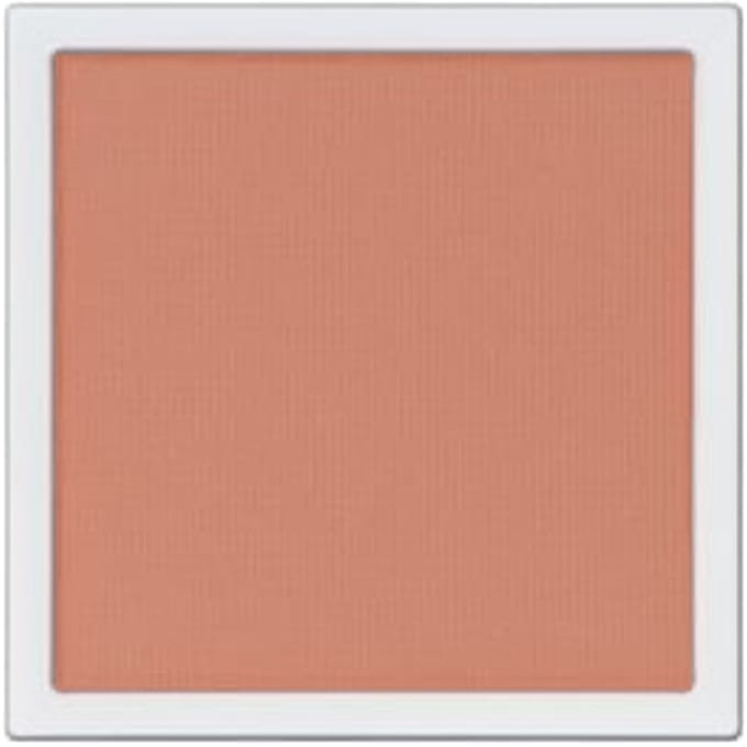 ADDICTION - The Single Eyeshadow Matte 010M Same School
