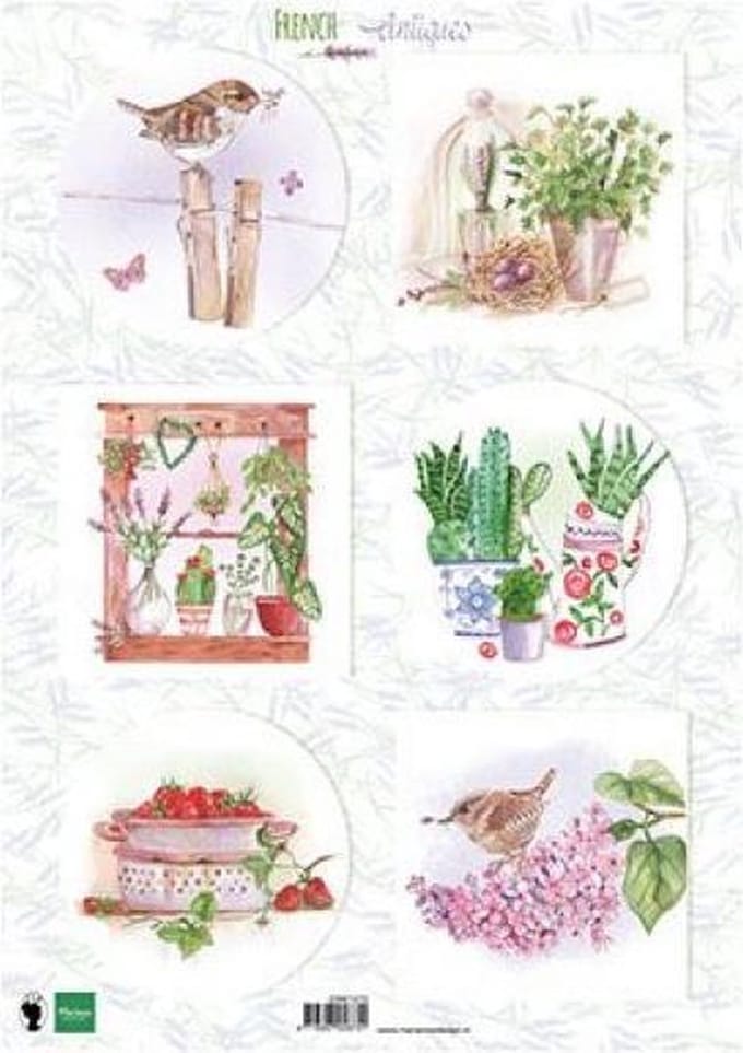 French antiques herbs