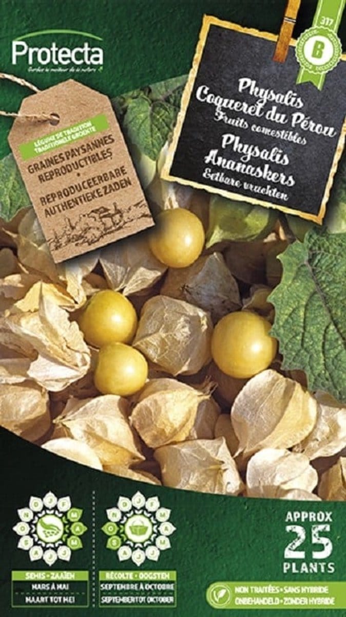 Protecta Groente zaden: Physalis ananaskers
