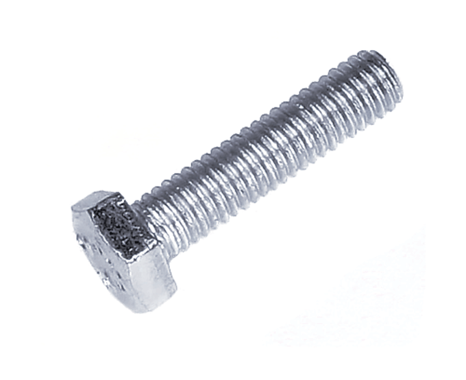 Screw