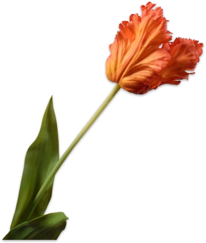 Silk-ka - Kunstbloem - oranje - H71 cm
