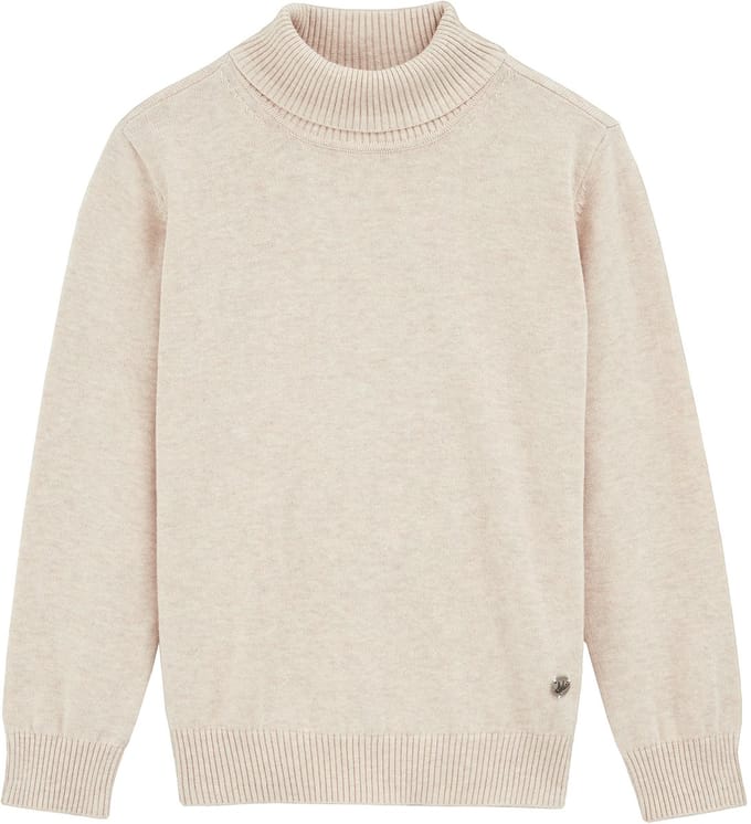 WE Fashion Jongens trui met col