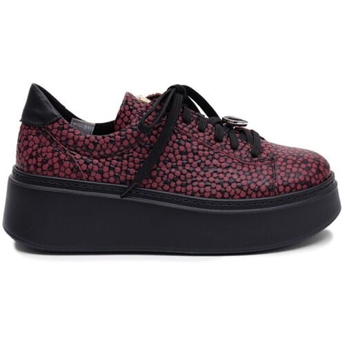Lage Sneakers Maciejka 6191W15008
