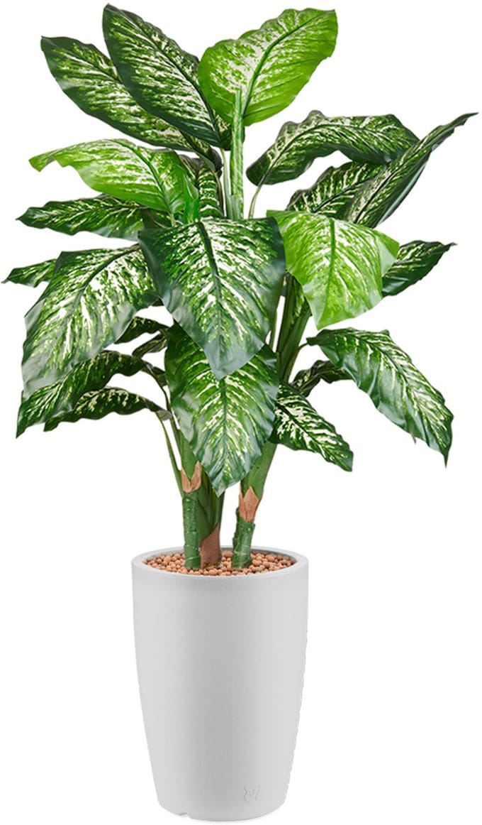 HTT - Kunstplant Dieffenbachia in Genesis rond wit H140 cm