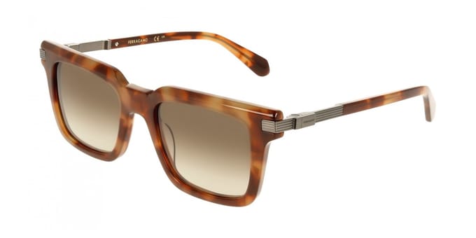 Ferragamo SF2103S Milky brown tortoise 53/21/145 MAN Zonnebrillen