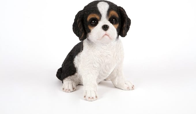 zittende  King Charles