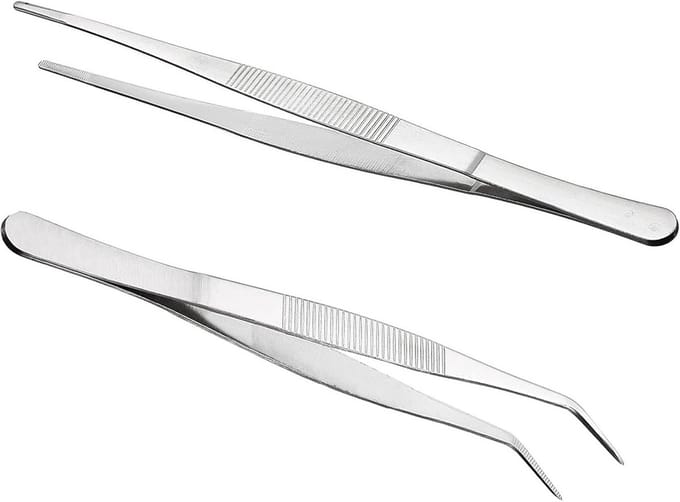 Set van 2 Lange RVS Pincetten Rechte en Gebogen Punt 25 cm Professioneel