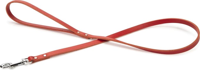 Beeztees - Hondenriem - Geniet - Rood - 100x12 cm