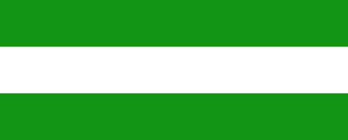 Vlag Hasselt 200x300cm