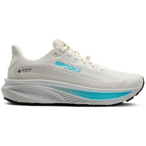 Brooks Ghost 17 GTX Hardloopschoenen Dames