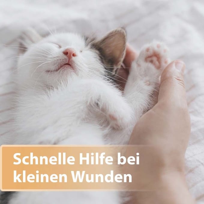 Felisept® Wondspray voor katten 75 Spray
