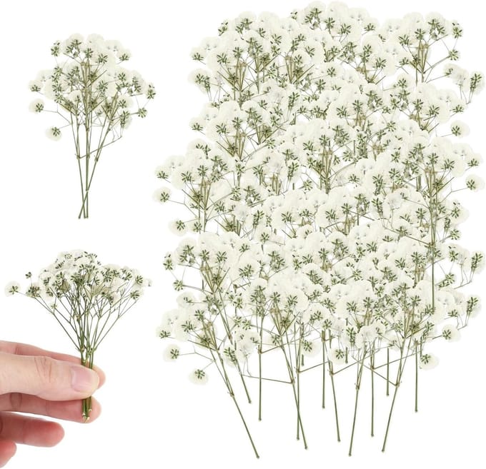 Solidchoice - Set van 150 Gedroogde Bloemen voor Creatieve Projecten