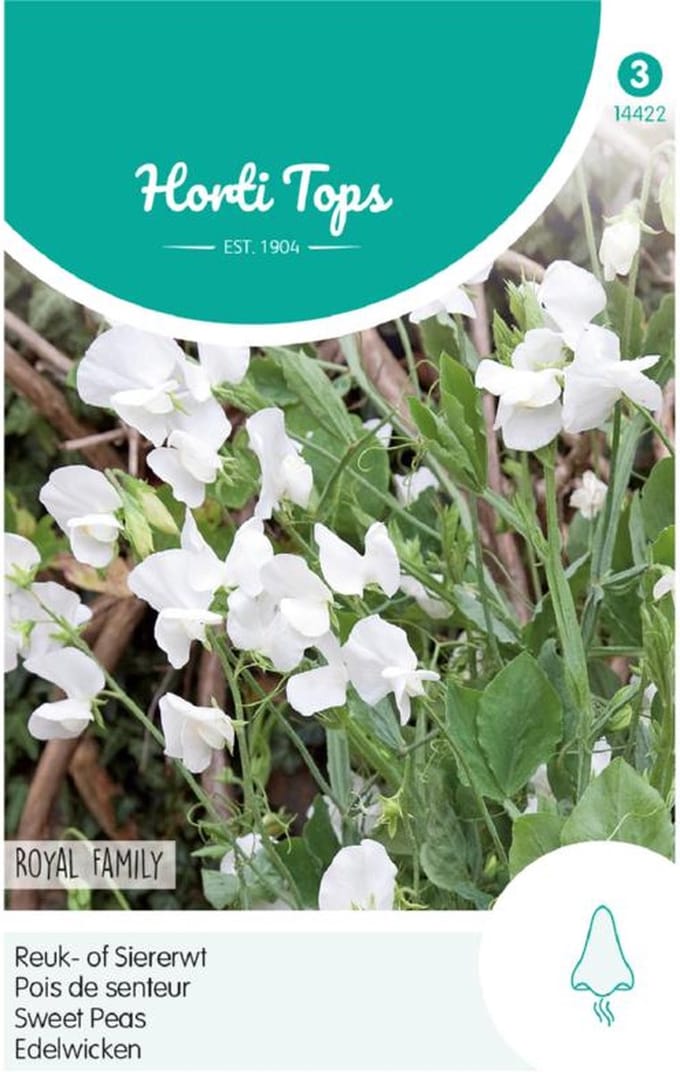 Hortitops Zaden - Lathyrus Odor. Royal Family Wit