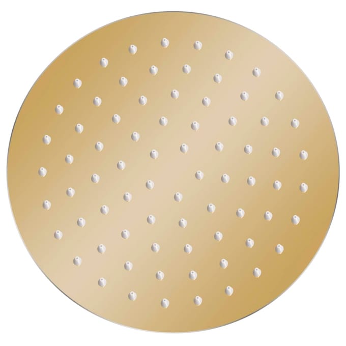 vidaXL - Regendouchekop - rond - 20 - cm - roestvrij - staal - goudkleurig